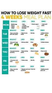 Ketogenic Diet Plan for Indian Vegetarians